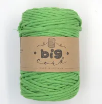 Macramé cord 3 mm in Pea (509)