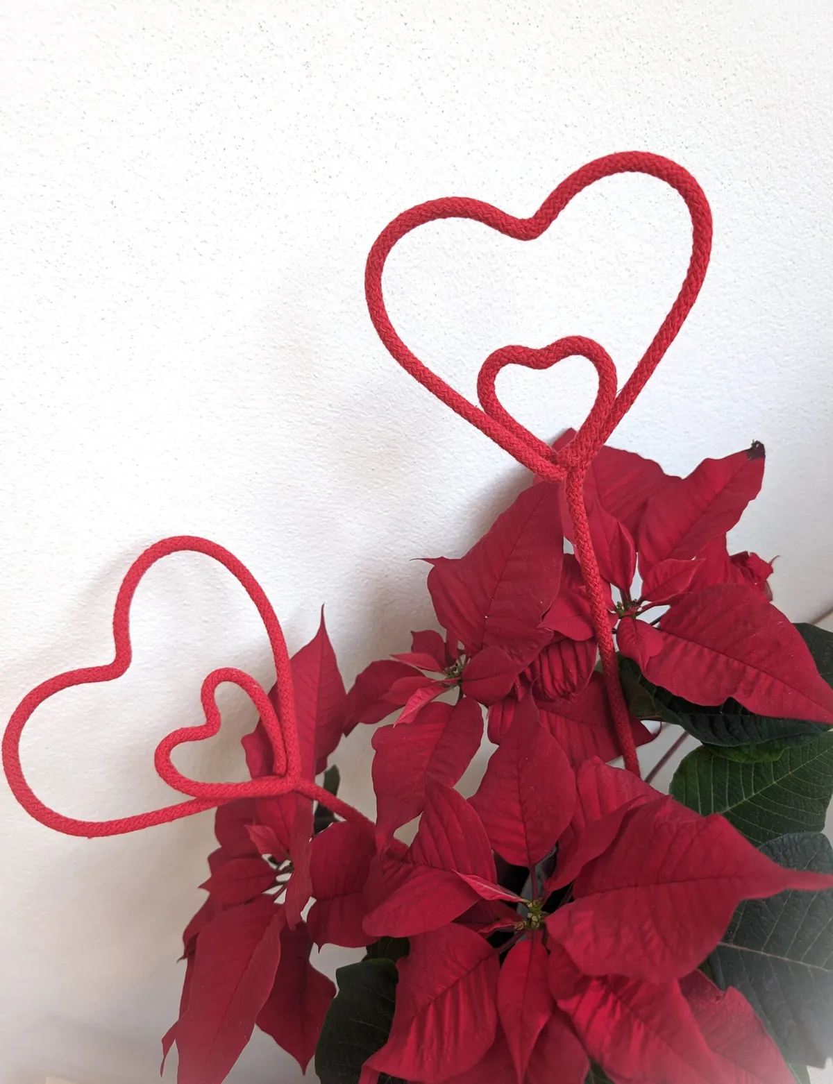 DIY set for making a heart – Valentine's gift